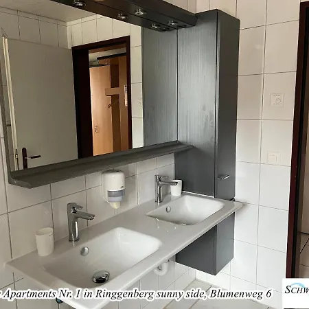 Schwizi's Apartments Ringgenberg Exterior foto