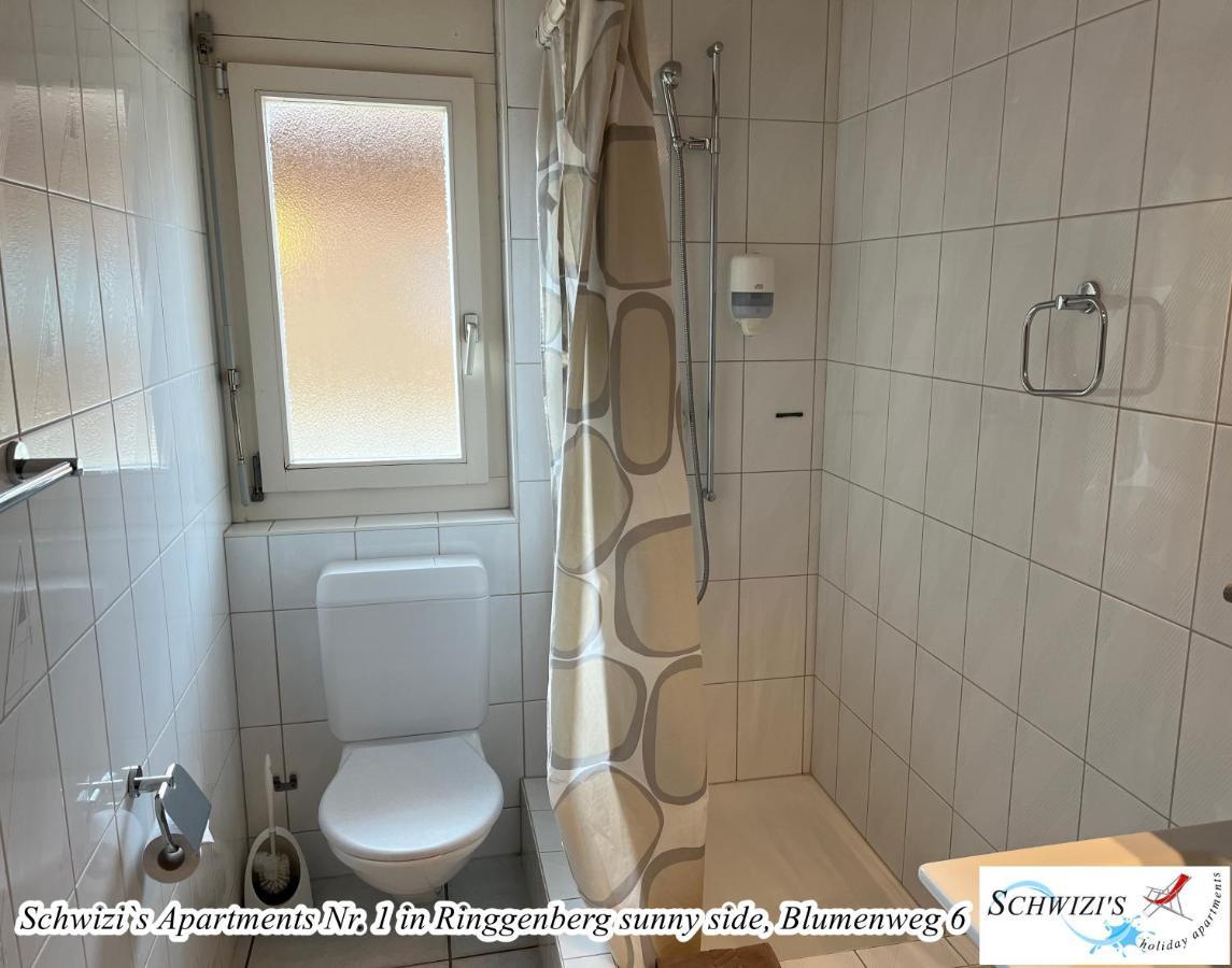 Schwizi's Apartment