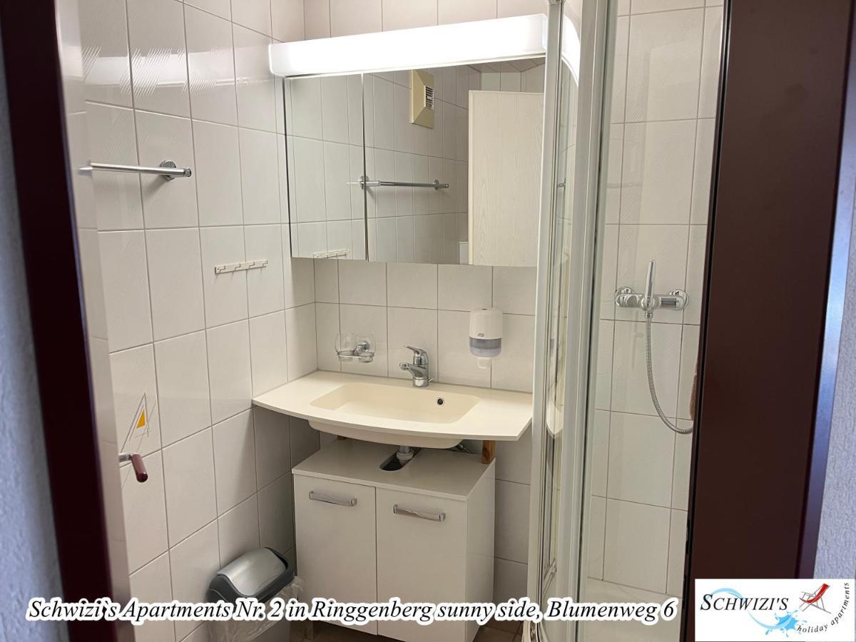 Apartment Schwizi's Ringgenberg