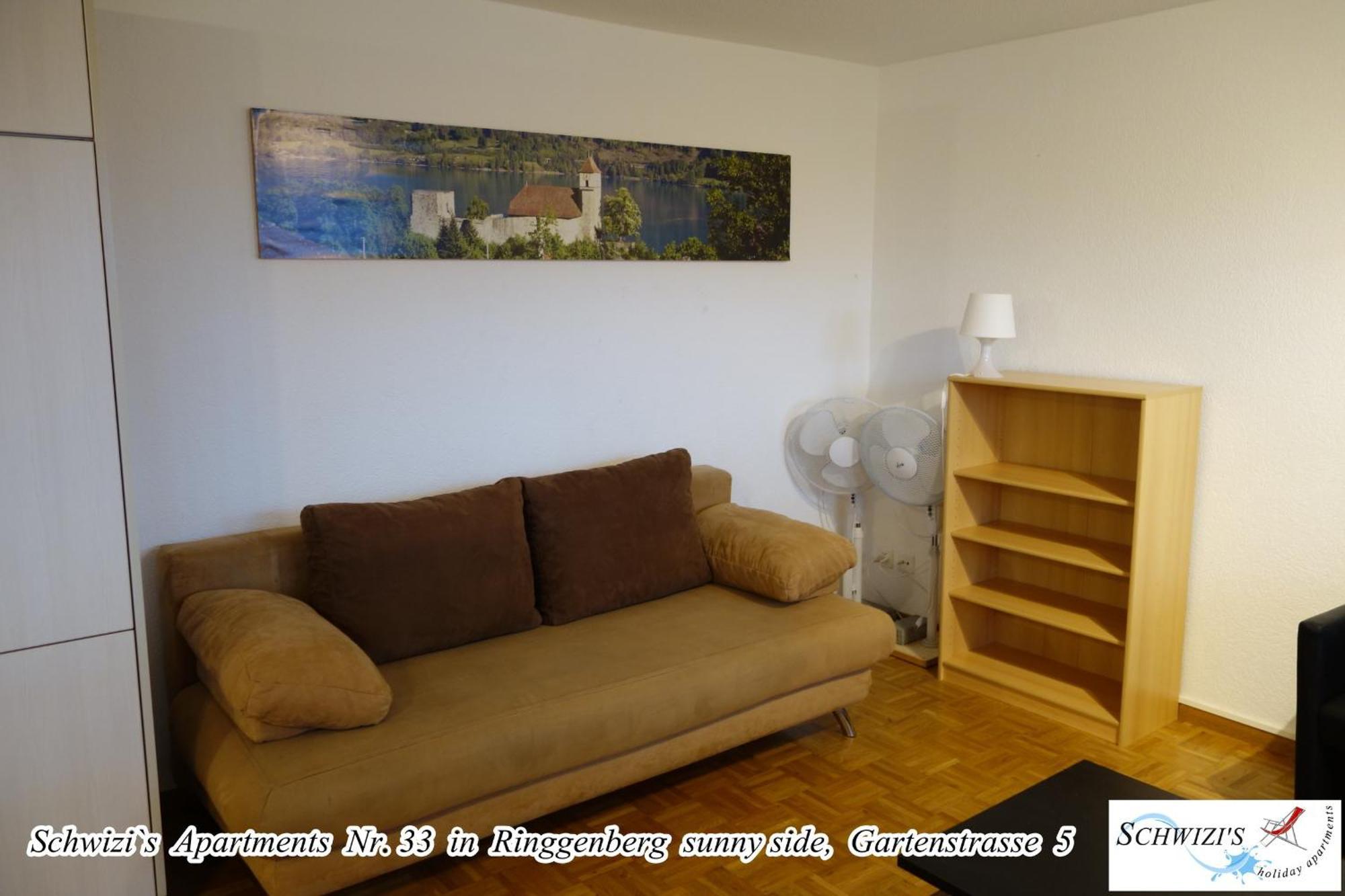 Schwizi's Apartment
