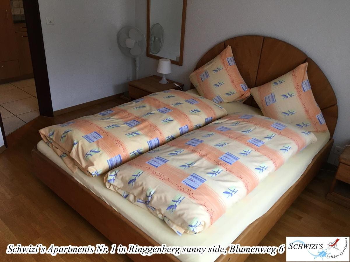 Apartment Schwizi's Ringgenberg