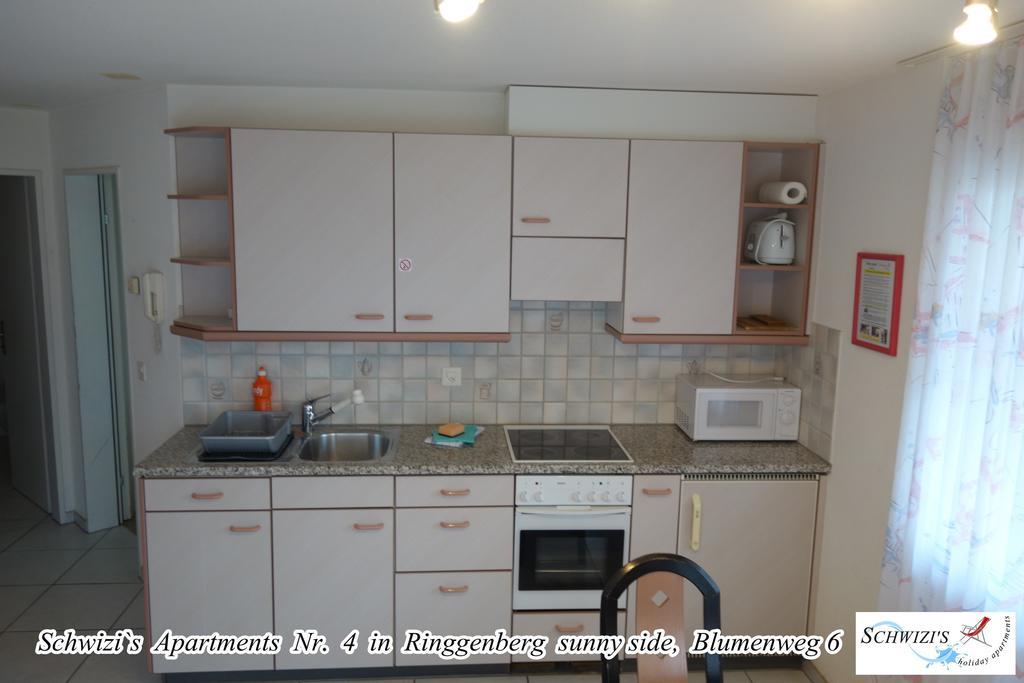 Schwizi's Apartment Ringgenberg